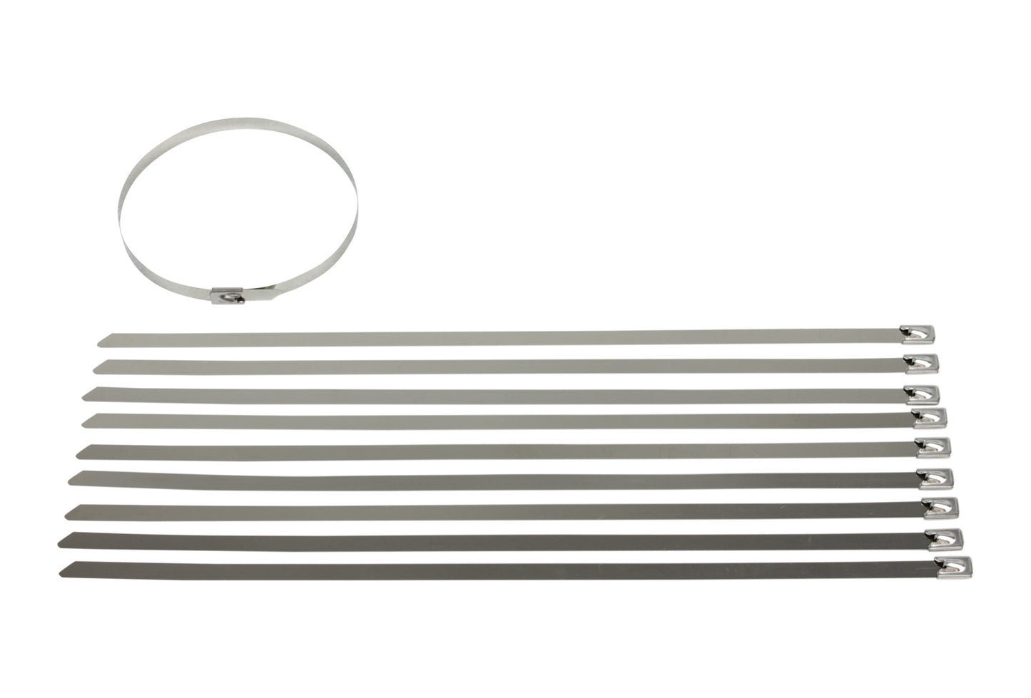 Stainless Steel Cable Ties - 10 Pack (350mm x 8mm)